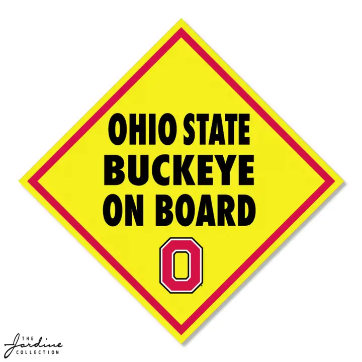 "Autocollant vinyle de 3,5" des Buckeyes d'Ohio State - Lionceau à bord AST"