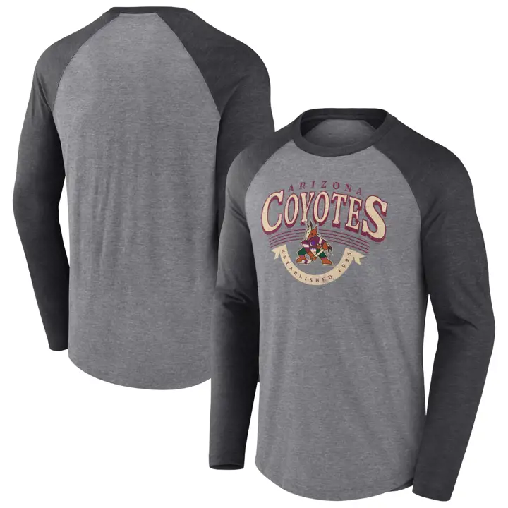 T-shirt à manches longues Raglan Logo vintage NHL Arizona Coyotes GRIS