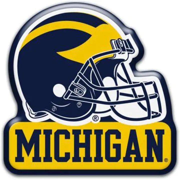 Michigan Wolverines Heavy Duty Helmet Magnet