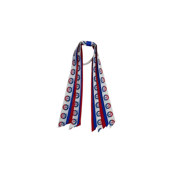 Streamer Mini Poney des Texas Rangers