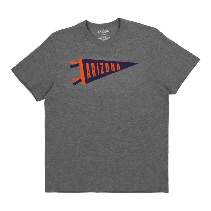 Fanion Arizona State GRY