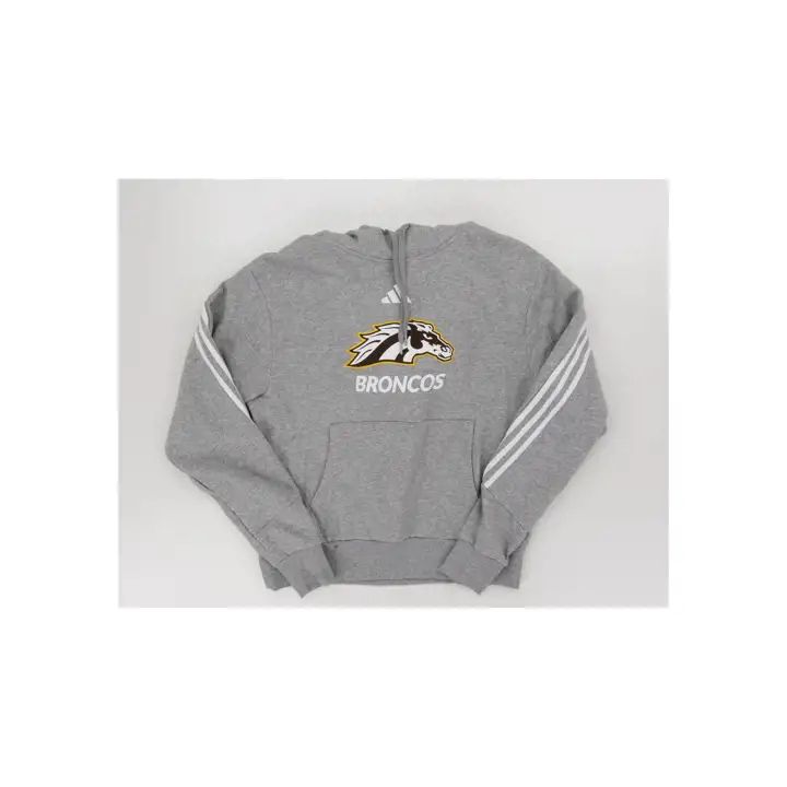 Western Michigan Broncos sweat à capuche mode Gry