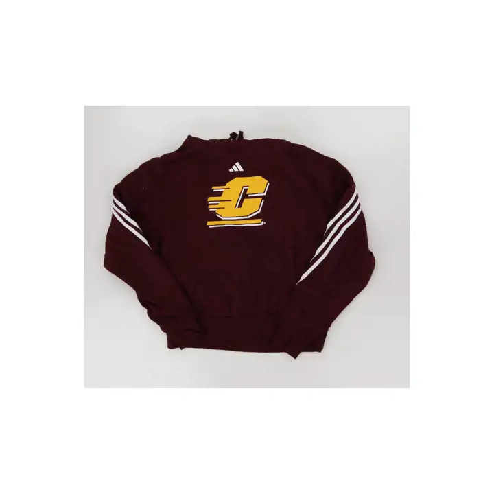 Sweat à capuche Central Michigan Chippewas Fashion Pullover noir