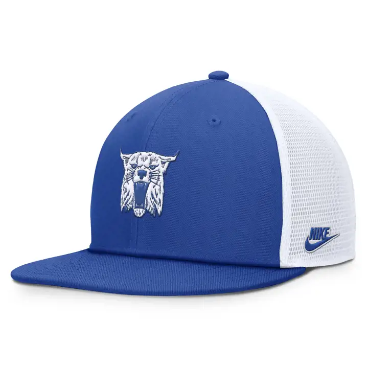 Casquette Kentucky Wildcats NIKE DRI-FIT PRO à visière carrée et structurée