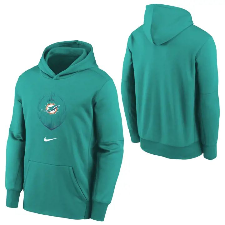 Sweat à capuche enfant Miami Dolphins NFL Icon 24 GRY