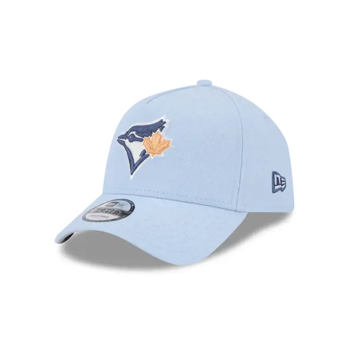 TORONTO BLUE JAYS MLB Pastel Punch Ardoise 9FORTY A-Frame SKBL
