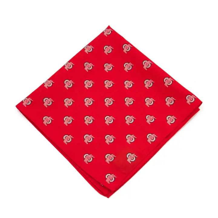 Pochette/carré de poche Ohio State Buckeyes AST