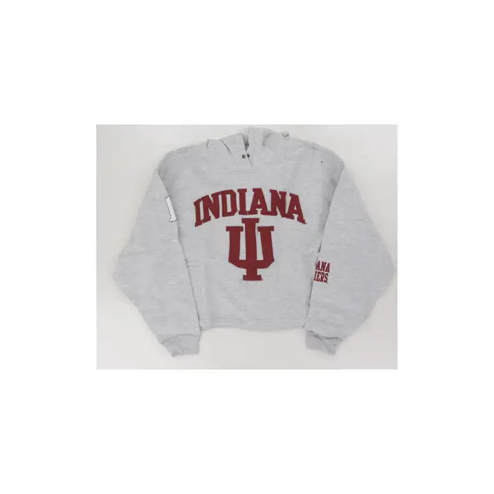 Indiana Hoosiers SWEAT À CAPUCHE FEMME HIGH HOPES NCAA 24 GRIS