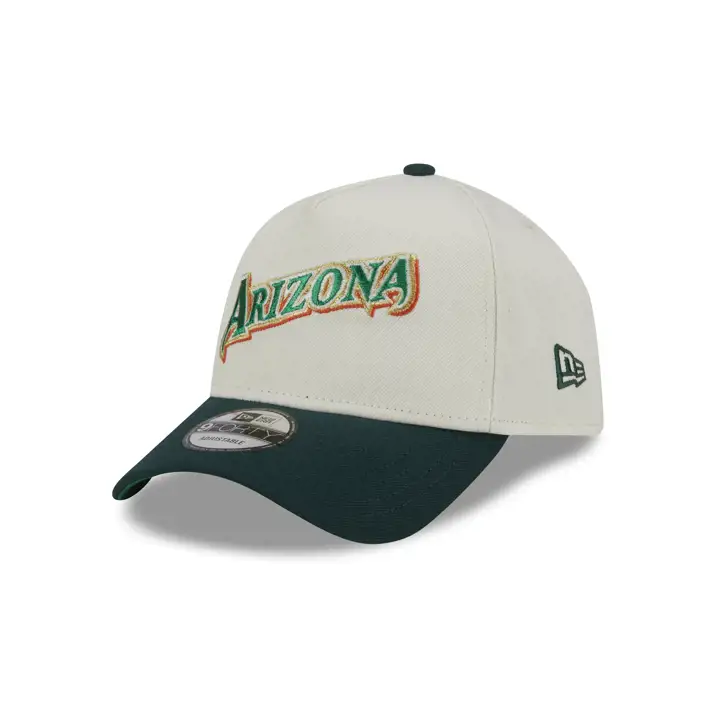 ARIZONA DIAMONDBACKS MLB PADDY AFRAME 9FORTY 25TH ANN DKGRY/