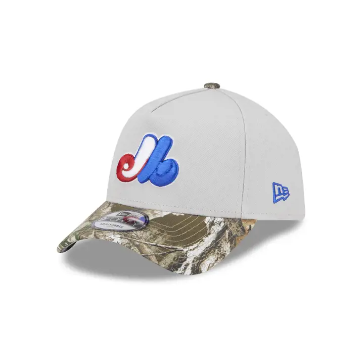 MONTREAL EXPOS Stone Tree Aframe 940 STADE OLYMPIQUE STONE/C