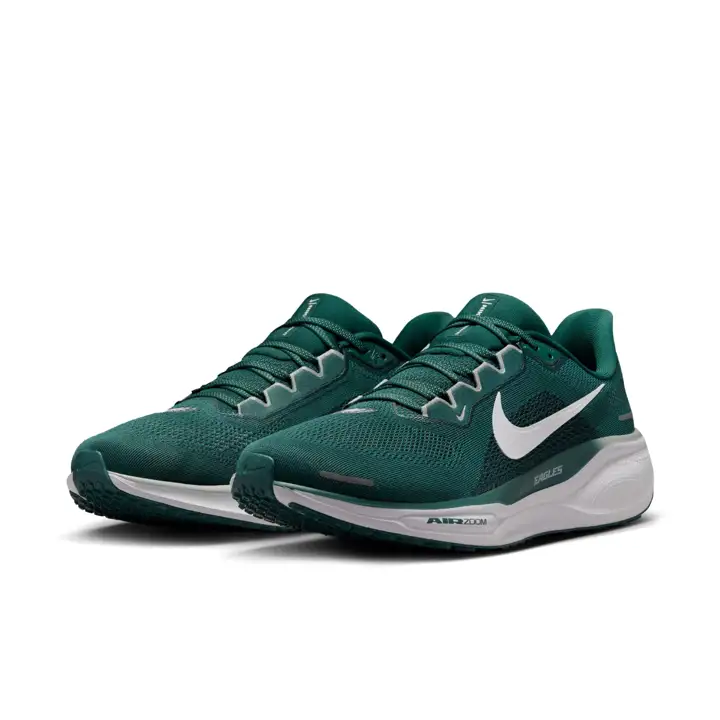 Chaussures de sport Nike Zoom Pegasus 41 NFL Philadelphia Eagles pour homme