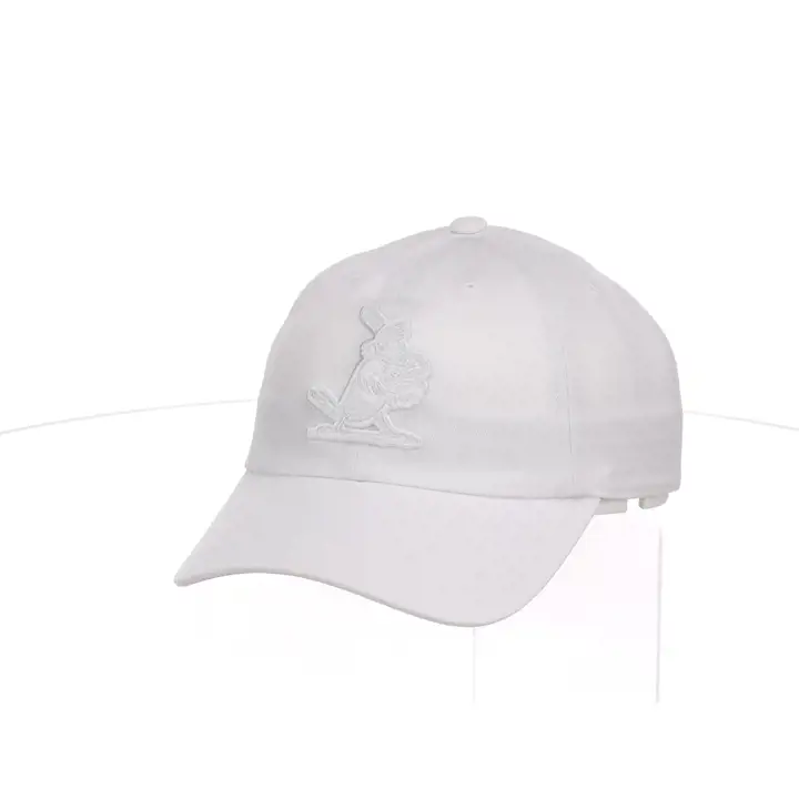 Casquette Papa St. Louis Cardinals MLB M&N WW COOP BLANC
