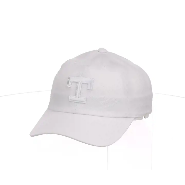 Casquette Texas Rangers MLB M&N WW COOP DAD BLANCHE
