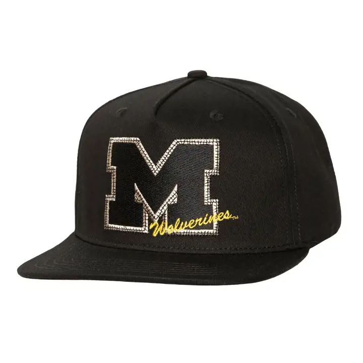 Michigan Wolverines CJ PINCH SNAPBACK brn