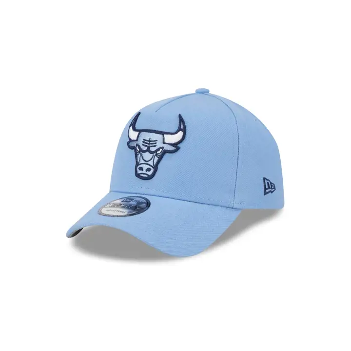 Chicago Bulls NBA Sky Blue Shoe Hook 9FORTY AF LBL/LBL/GRY
