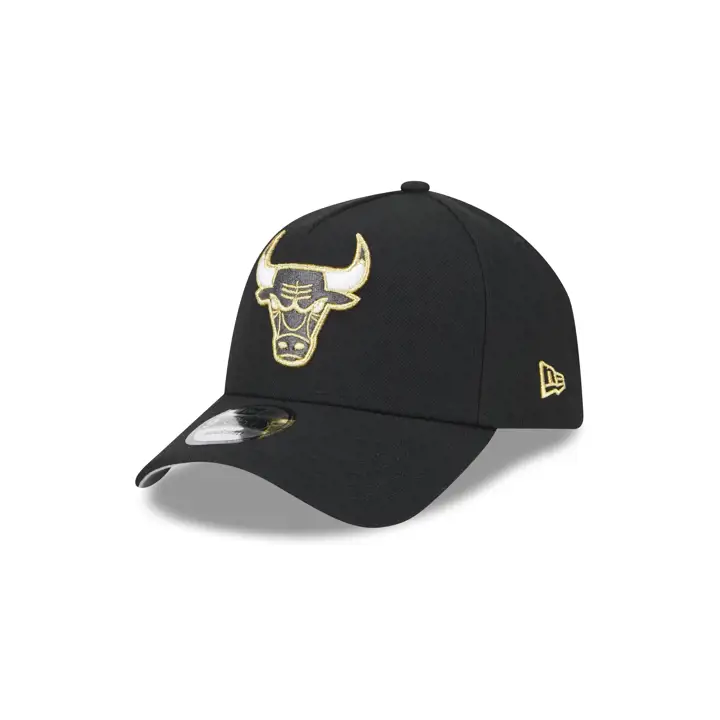 Chicago Bulls NBA Met Gold Shoe Hook 9FORTY AF NOIR/NOIR/GRIS