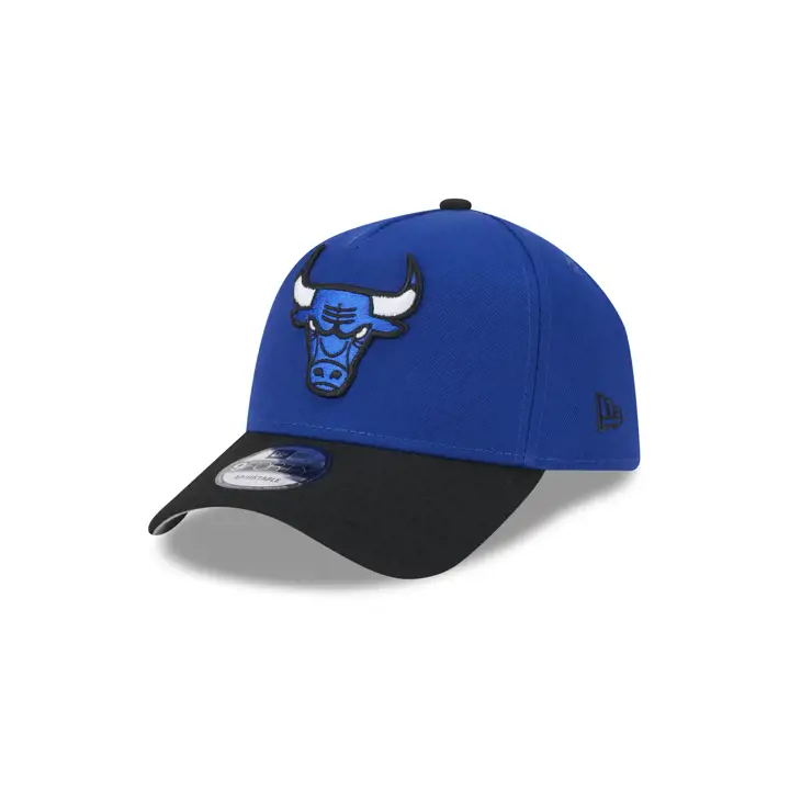 Chicago Bulls NBA Royal Shoe Hook 9FORTY AF RBL/BLK/GRY