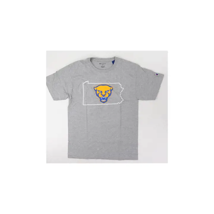 T-shirt Pittsburgh Panthers 2F NCAA State Pride gris