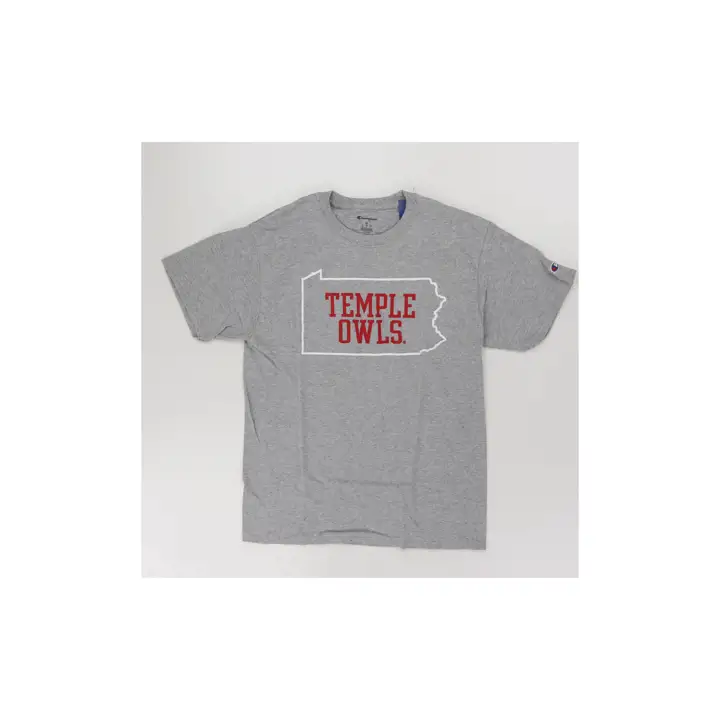 T-shirt Temple Owls 2F NCAA State Pride gris