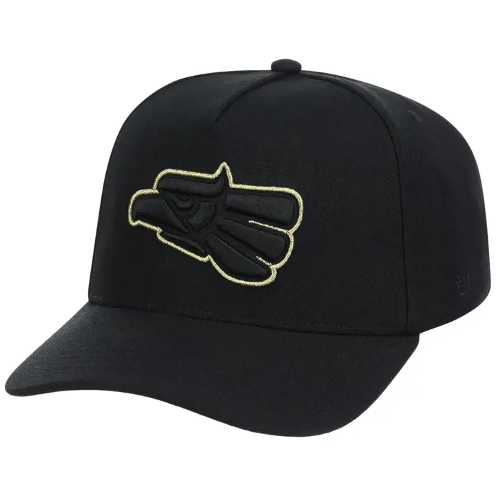 Mexico Country Pride Logo Casquette A-Frame Aigle noire/noire