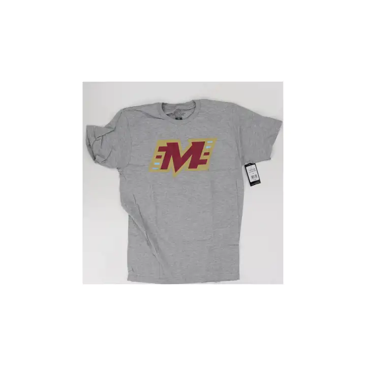 Michigan Panthers UFL ORIGINS ALT LOGO h-gray