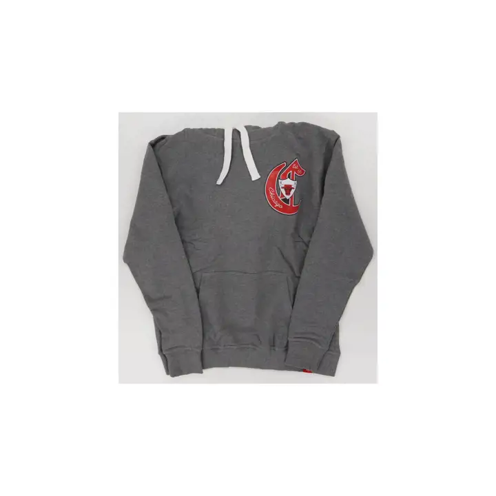 Sweat à capuche Blake Chicago Bulls NBA Varsity gris