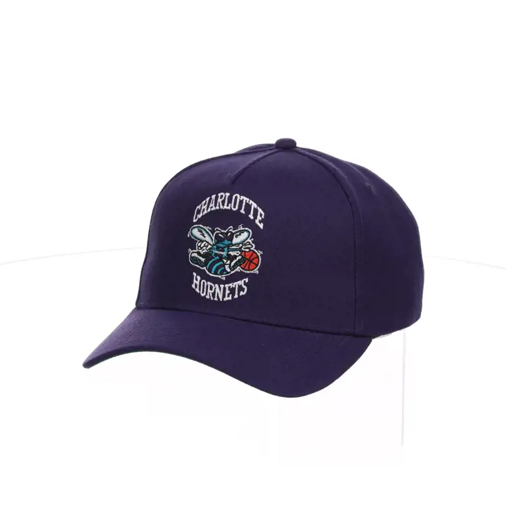 Charlotte Hornets NBA MN HWC Basic Pro Pinch Pur/pur/kgrn