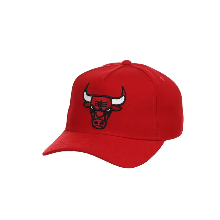 Chicago Bulls NBA MN Basic Pro Pinch Rouge/ rouge/ gris Primaire