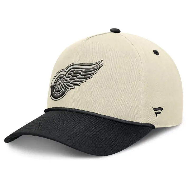 DETROIT RED WINGS LNH Soucoupe Cadre en A IVO/NOIR