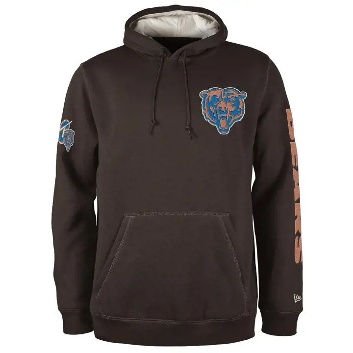 Sweat à capuche Homme NFL Chicago Bears NE Fall 24 Color Pack BRN