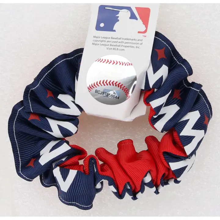 Cheval Ast de couleur Minnesota Twins