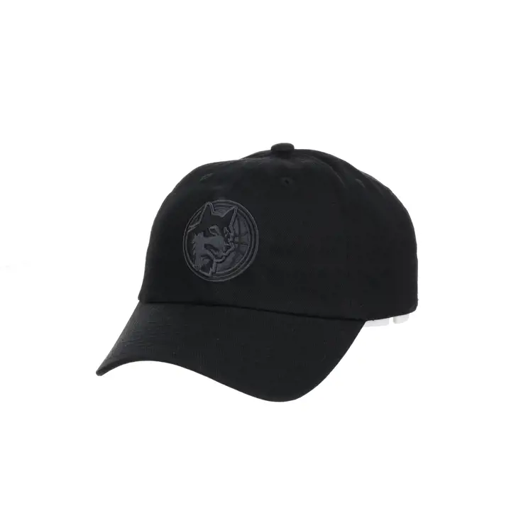 Casquette de baseball Minnesota Timberwolves NBA MIN Basic HWC Noire