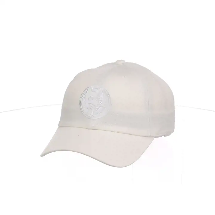 Casquette NBA Minnesota Timberwolves MIN Basic HWC Dad Hat IVO