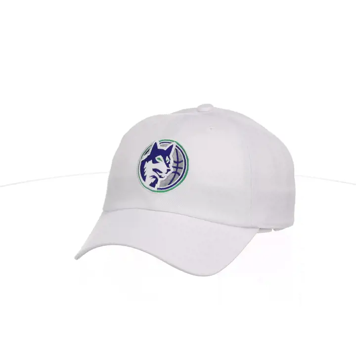Minnesota Timberwolves NBA MIN Casquette de papa basique HWC BLNC