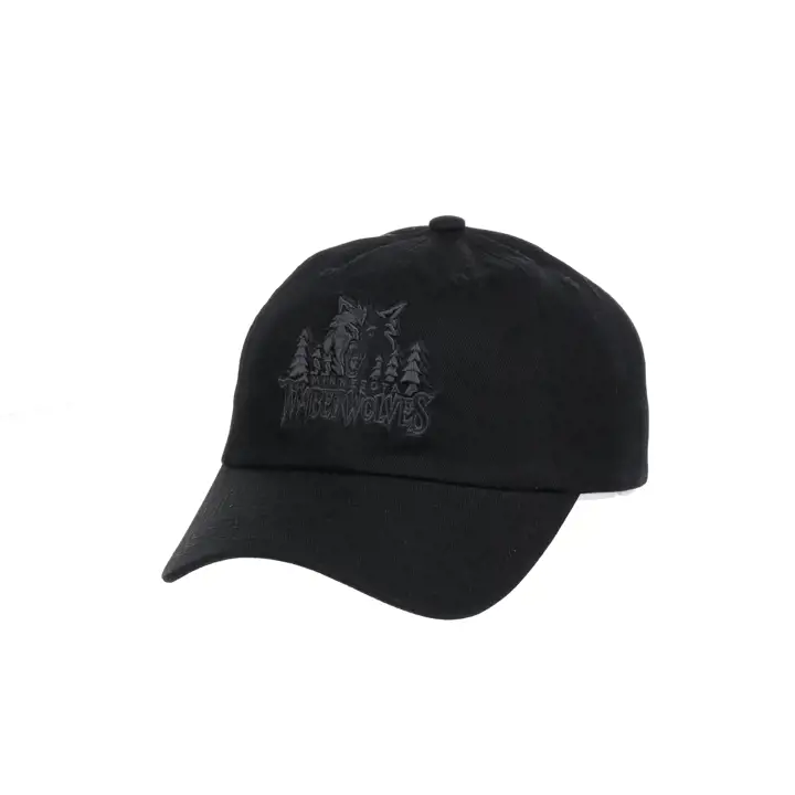Casquette de papa Timberwolves NBA MIN HWC Noir