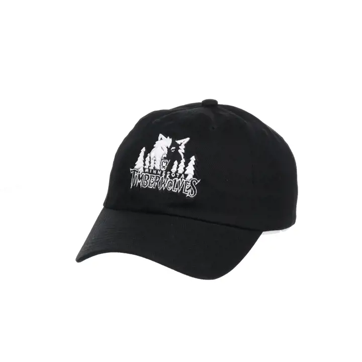 Minnesota Timberwolves NBA MIN Casquette de papa HWC de base N/N