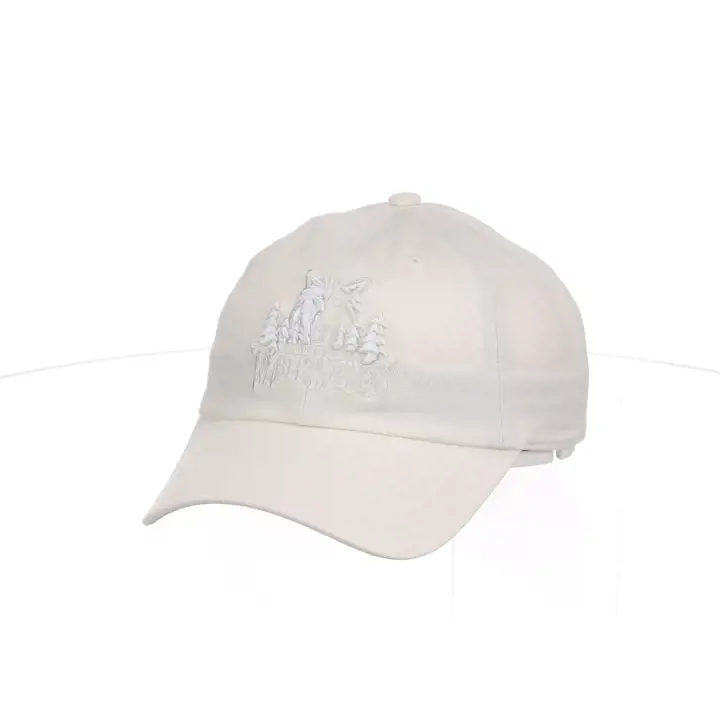 Casquette Minnesota Timberwolves NBA MIN HWC Basique IVO/IVO