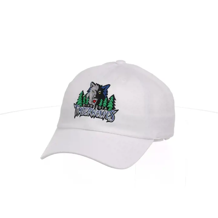 Casquette de papa basique NBA Minnesota Timberwolves MIN HWC BLANC/BLANC