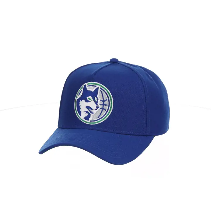 Minnesota Timberwolves NBA MIN Basic HWC Pro Pinch Bleu/VRNT