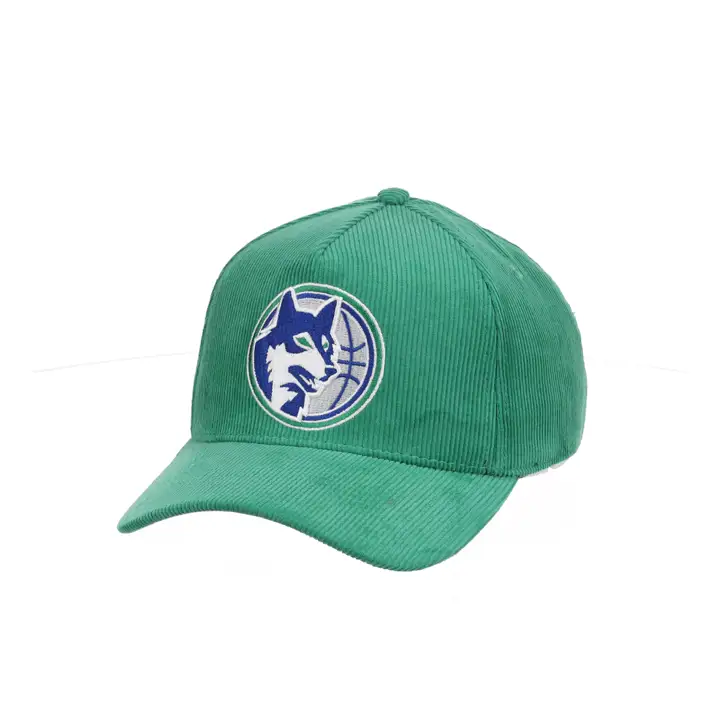 Minnesota Timberwolves NBA MIN Basic HWC Pro Pinch Vert/Gris
