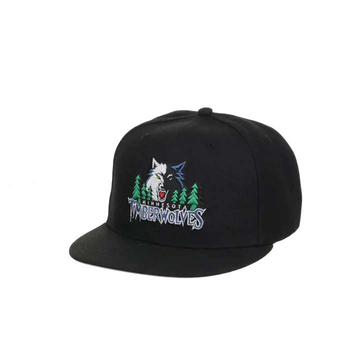 Minnesota Timberwolves NBA MIN Basic HWC Snapback NOIR/GRIS