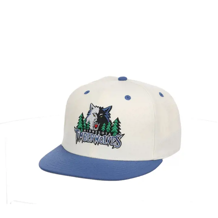 Minnesota Timberwolves NBA MIN Casquette Snapback HWC de base IVO/BLEU/G