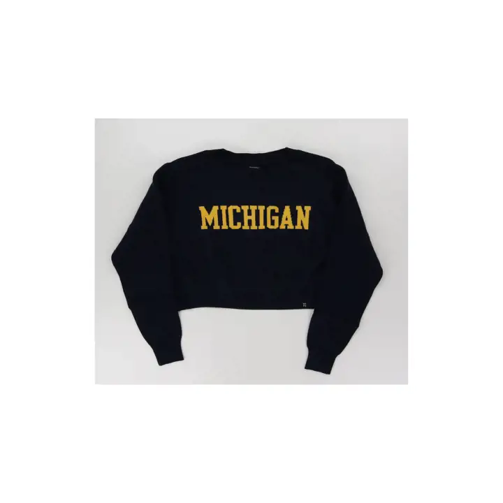 Michigan Wolverines NCAA Women's Hype & Vice Ivy Knit Sweate