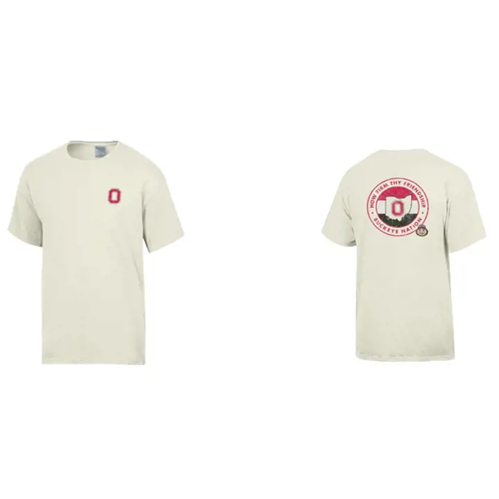 T-shirt Ohio State Buckeyes NCAA Comfort Wash State Flair IV