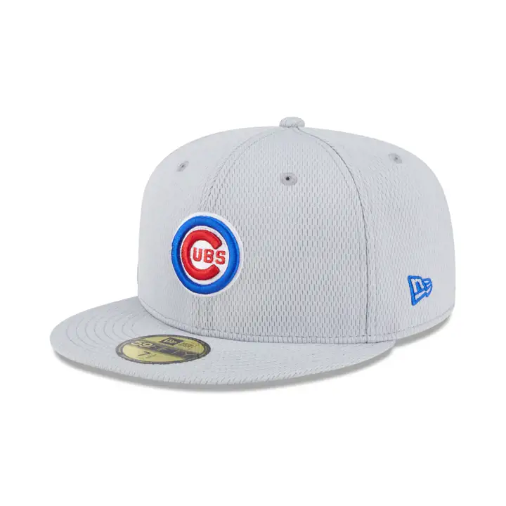 Chicago Cubs 2025 MLB Clubhouse 59FIFTY GRY