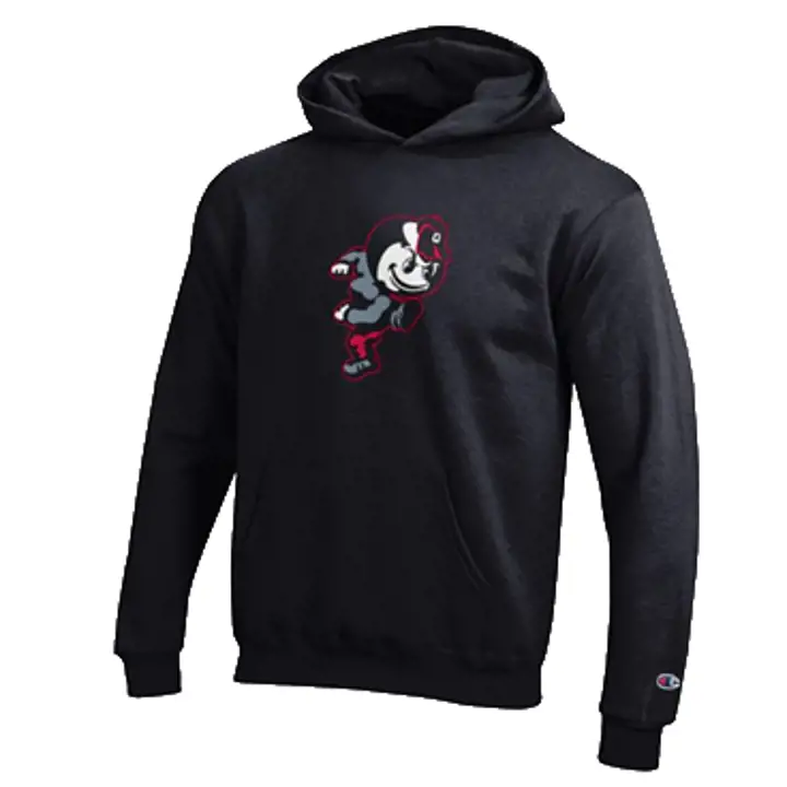 Sweat à capuche Ohio State Buckeyes NCAA Powerblend pour jeunes - Noir