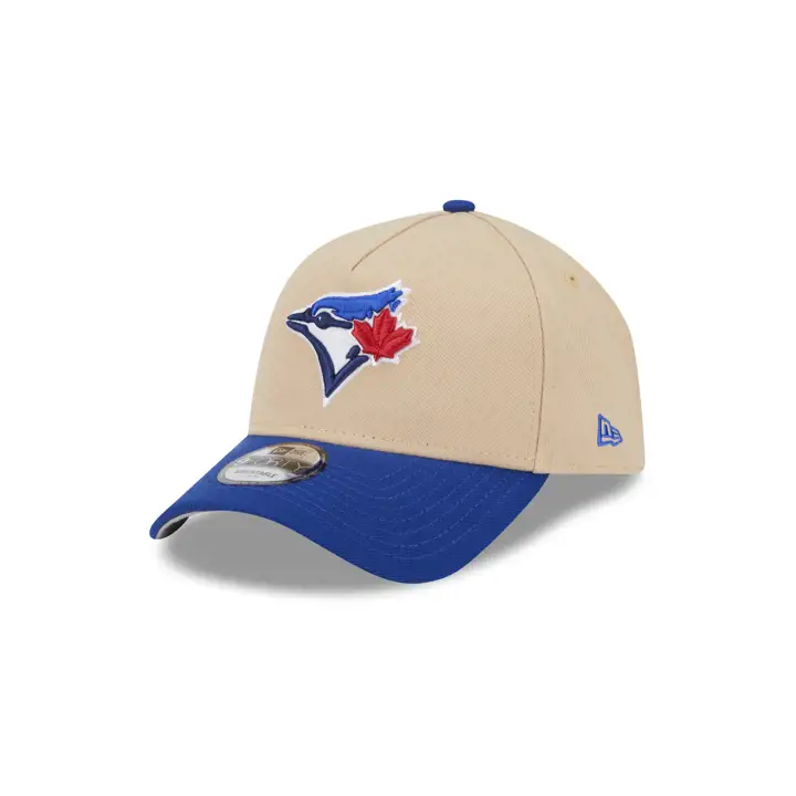 Toronto Blue Jays MLB PECAN CONFIT AF 9FORTY BRUN CLAIR/BLEU ROYAL/GRIS
