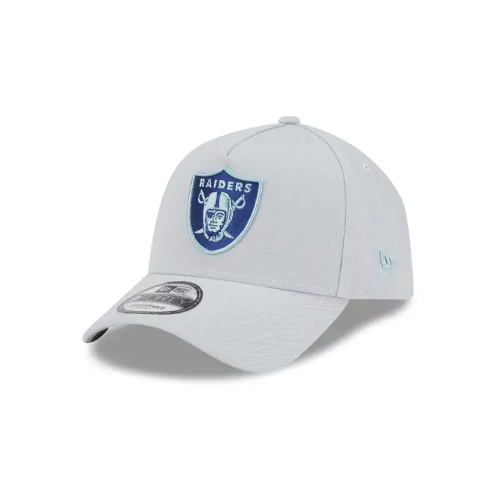 Casquette 9FORTY A-Frame Las Vegas Raiders NFL Color Pack gris/gris/gris