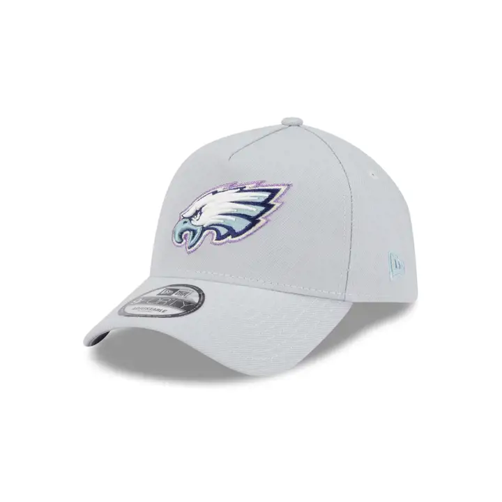 Philadelphia Eagles NFL Color Pack 9FORTY A Frame gris/ gris/