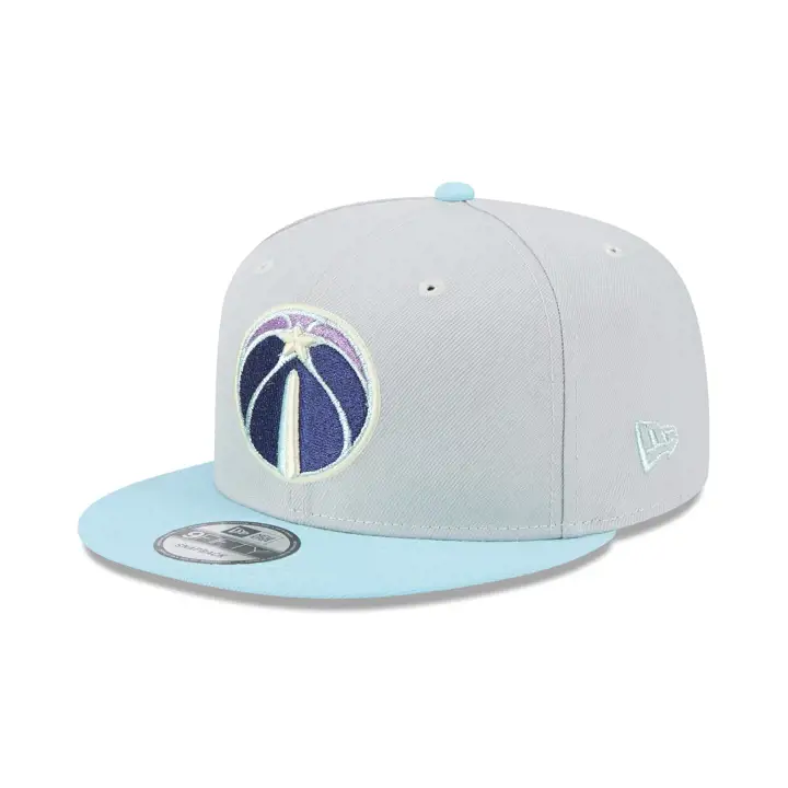 Washington Wizards NBA Color Pack 9FIFTY Gry/lbl/gry